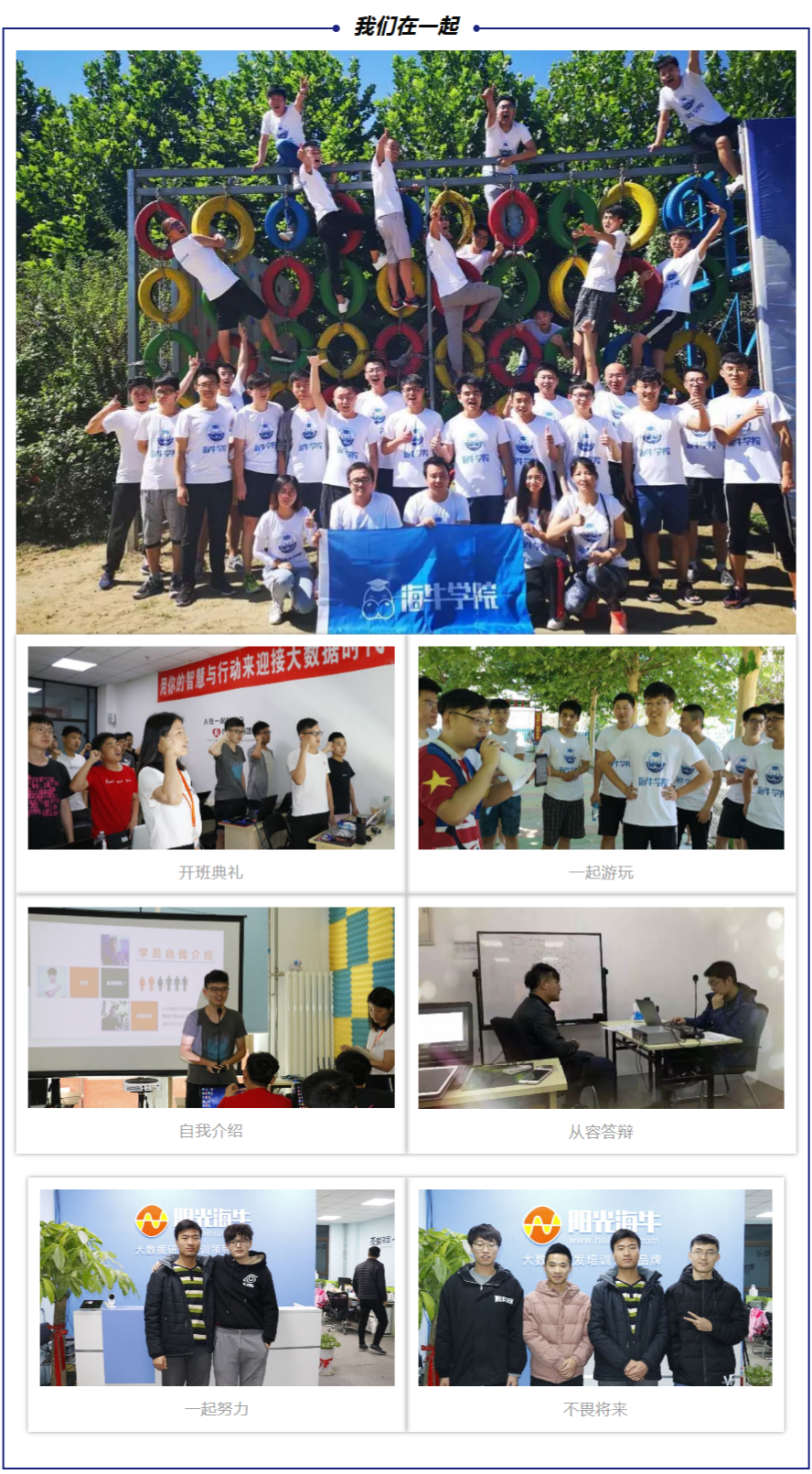 小海牛们的欢乐时光